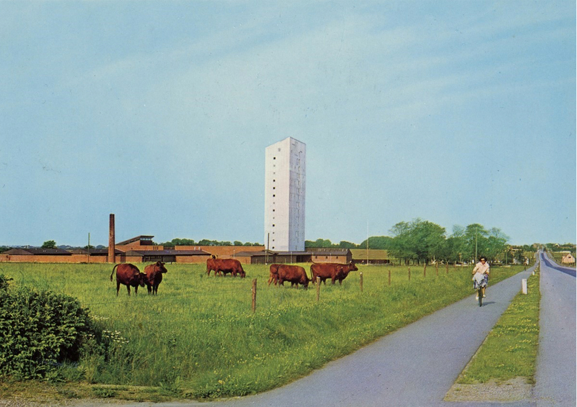 2. kunst og historien_0018_Farve_fra_ost1
